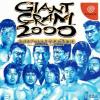 Giant Gram 2000: All Japan Pro Wrestling 3 Box Art Front